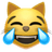 😹