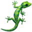 🦎
